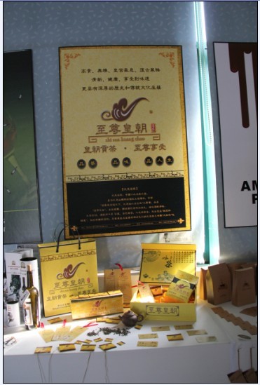 李康、冼曉東：《至尊皇朝》